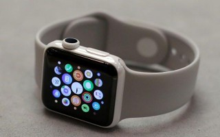        Apple Watch -  