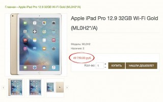 12,9- iPad Pro      