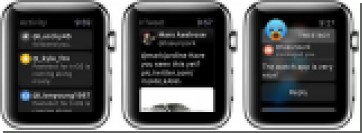   Tweetbot 4.1   Apple Watch