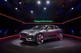 Jaguar      