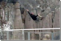 В китайском зоопарке мужчина прыгнул в вольер с тигром