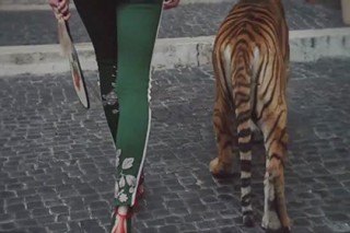 Gucci пустил тигра и жирафа гулять по римским улицам