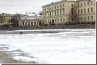 В центре Петербурга объявился пингвин-ныряльщик