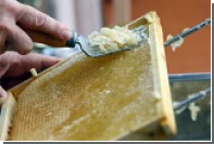 Роскачество выявило некачественный мед из четырех регионов