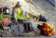 В калифорнийском метро нашли останки мастодонтов возрастом 10 тысяч лет